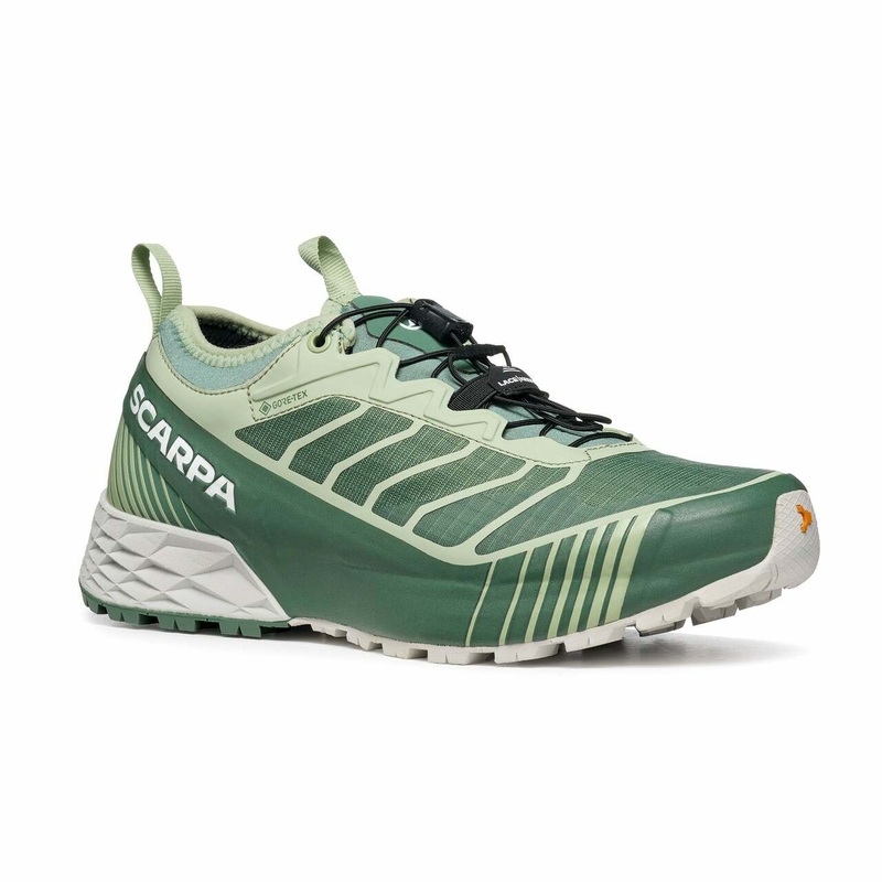 Womens Ribelle Run GTX