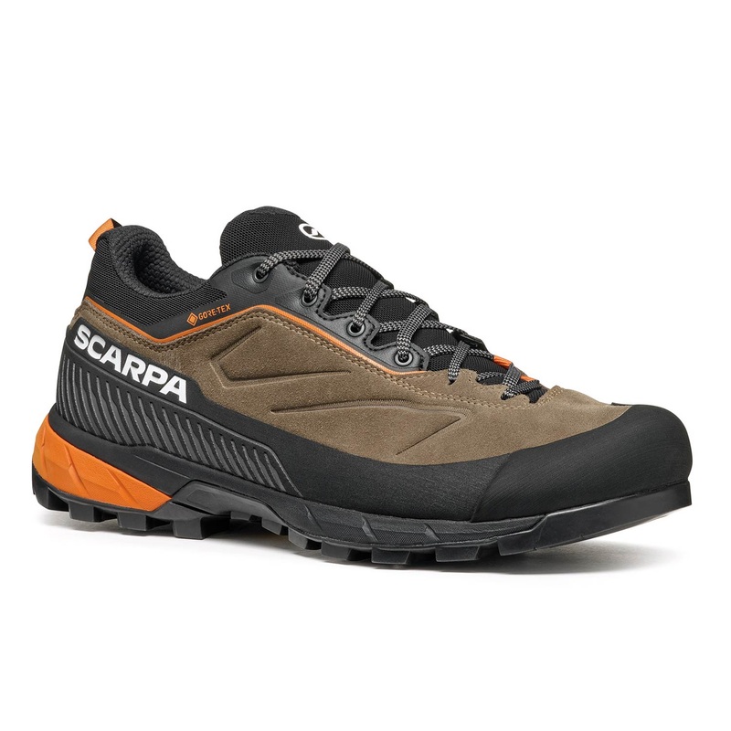 Rapid XT GTX