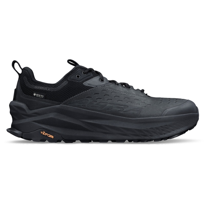 Olympus 6 Hike Low GTX