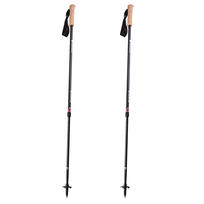 Andesite Carbon Trekking Poles