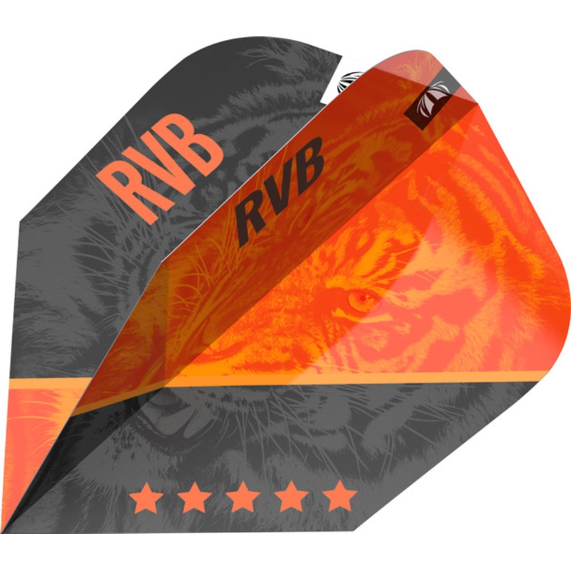 Target Raymond Van Barneveld Pro Ultra G4 No6 Flight