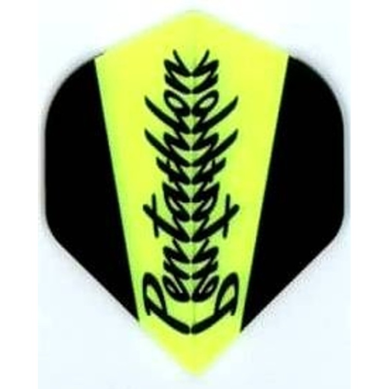 Pentathlon Yellow & Black Standard Flights 2024