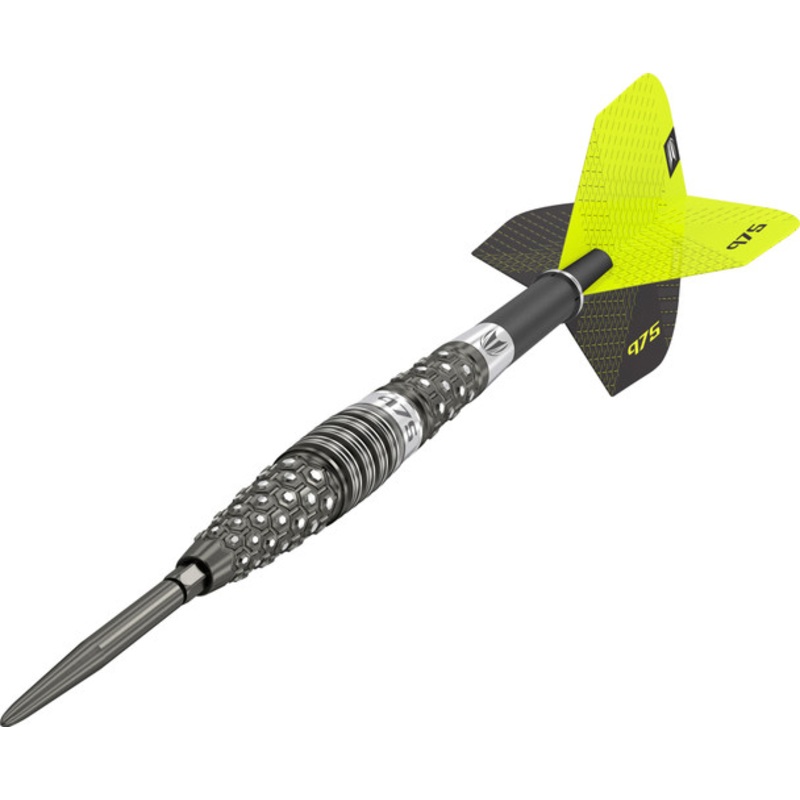Target 975 03 21G SWISS STEEL TIP 2020 97.5% Tungsten