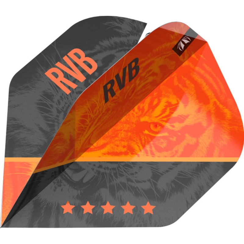 Target Raymond Van Barneveld Pro Ultra G4 No2 Flight