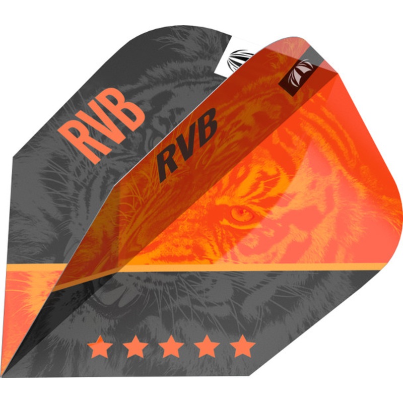 Target Raymond Van Barneveld Pro Ultra G4 Ten-X Flight