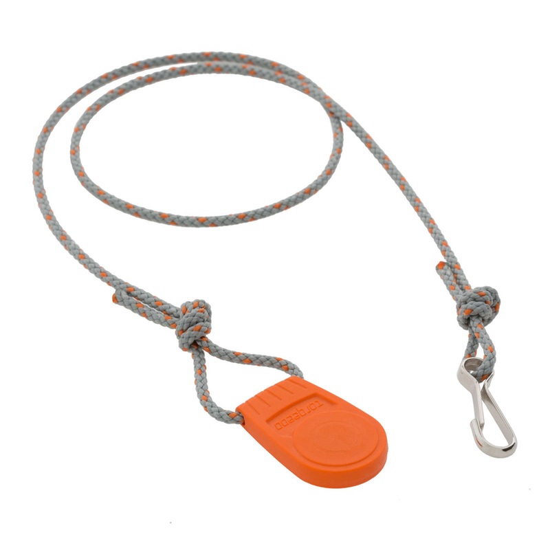 Magnetic kill switch