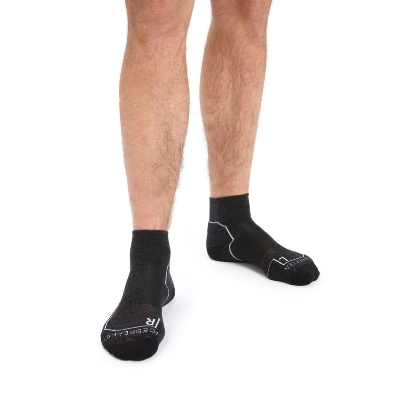 Icebreaker Merino Hike+ Light Mini Socks – Men