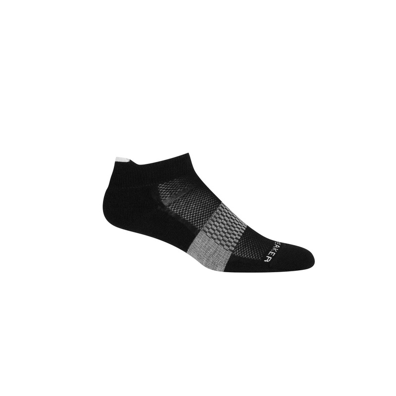 Icebreaker Merino Multisport Light Micro Socks – Women