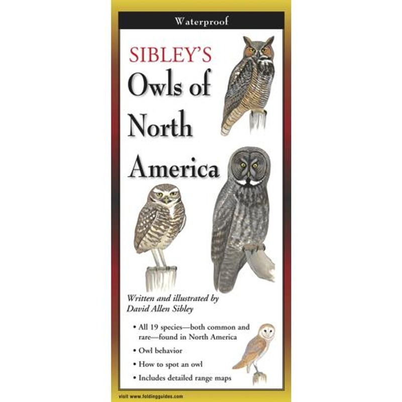 Earth Sky Water Owls Of North America