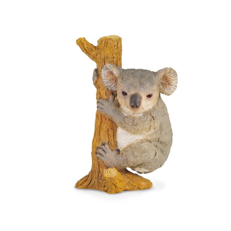 Reeves International Koala Climbing