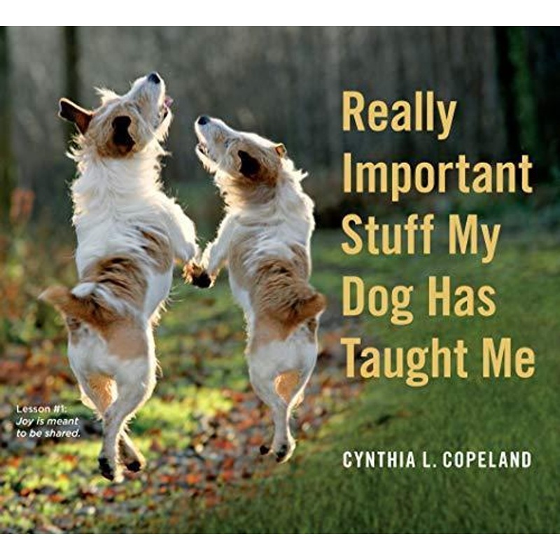 Workman Publishing Really Important Stuff My Dog Has Taught Me Paperback Book