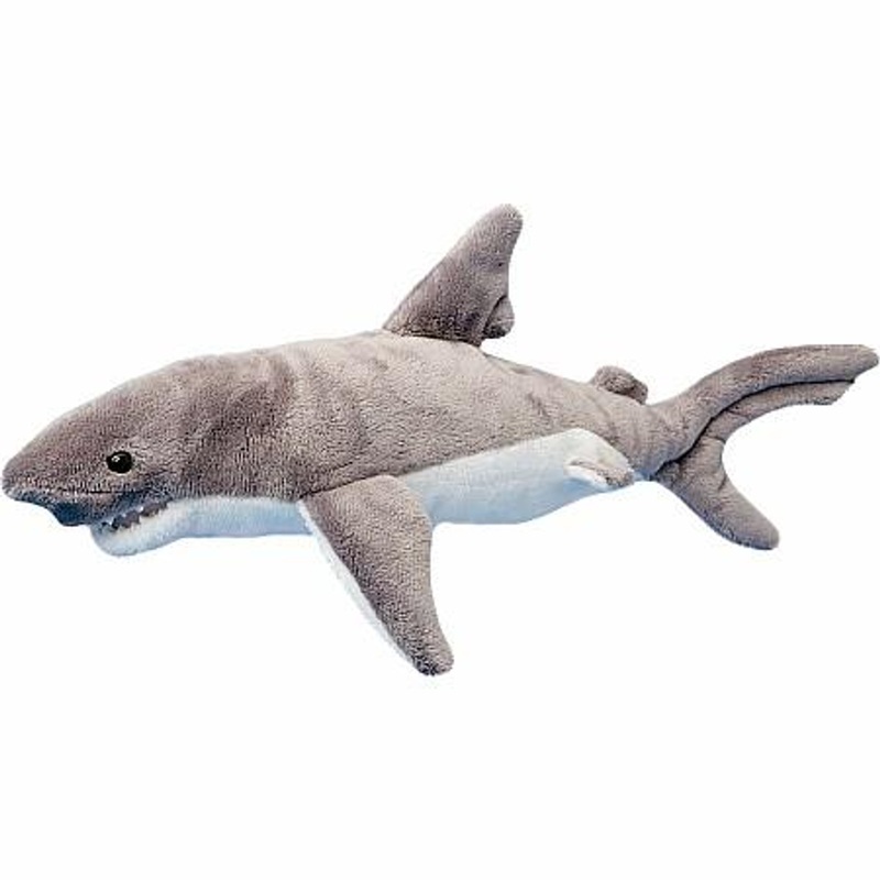 Douglas Co. Smiley Shark