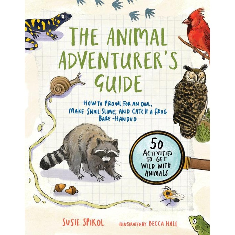 Penguin The Animal Adventurer’s Guide