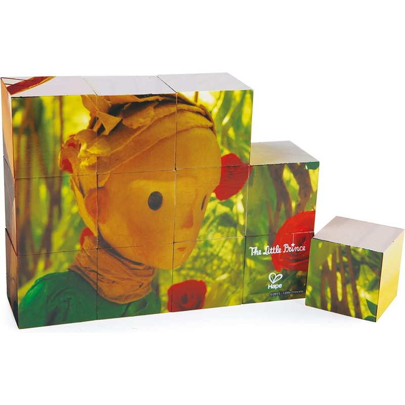 Hape International Wood Blocks