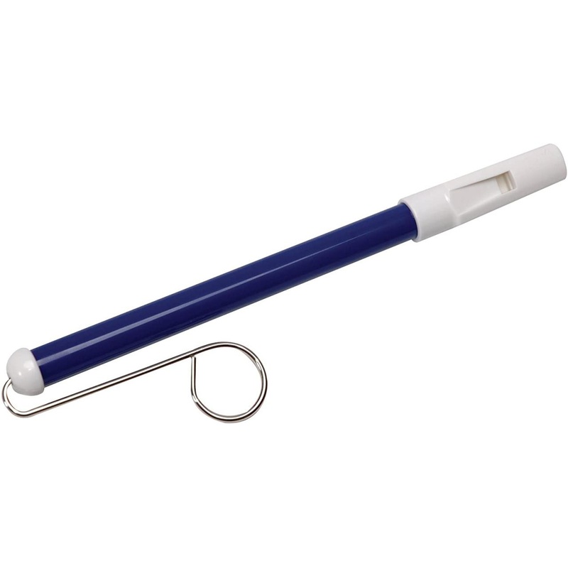 Schylling Slide Whistle Toy