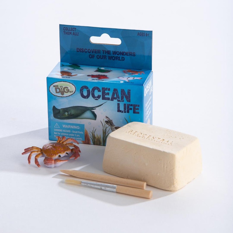 Geocentral Ocean Animal Kig Kit
