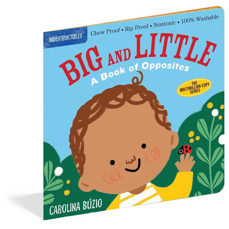 Workman Publishing Indestructables Big And Little
