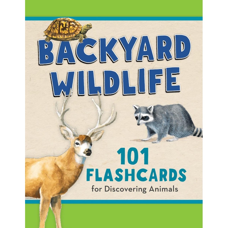 National Book Network Backyard Wildlife 101: Flashcards