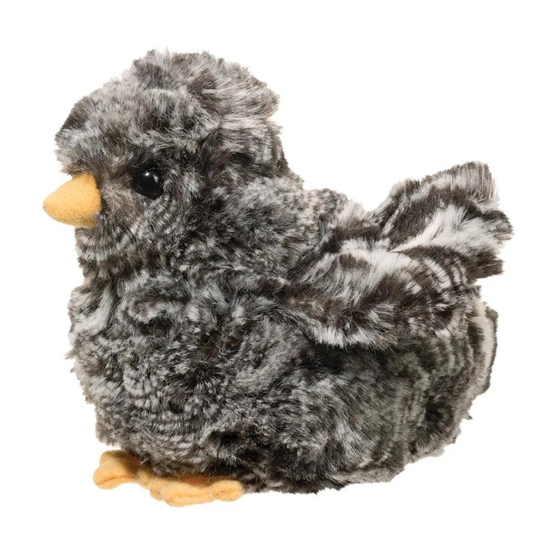 Douglas Co. Black Multi Chick