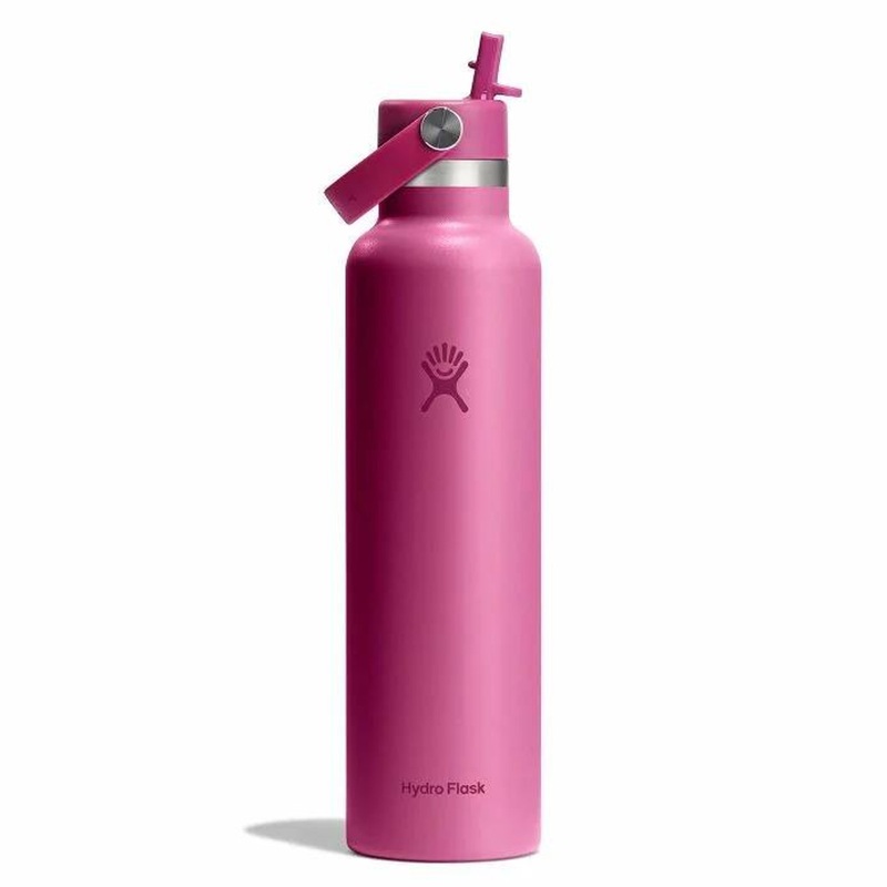 Hydro Flask 24 oz Standard Mouth with Flex Straw Cap – Reef
