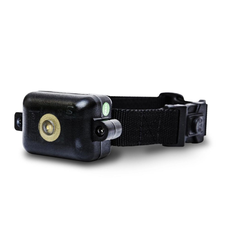D.t. Systems Ultra Min-e  2090 No Bark Trainer