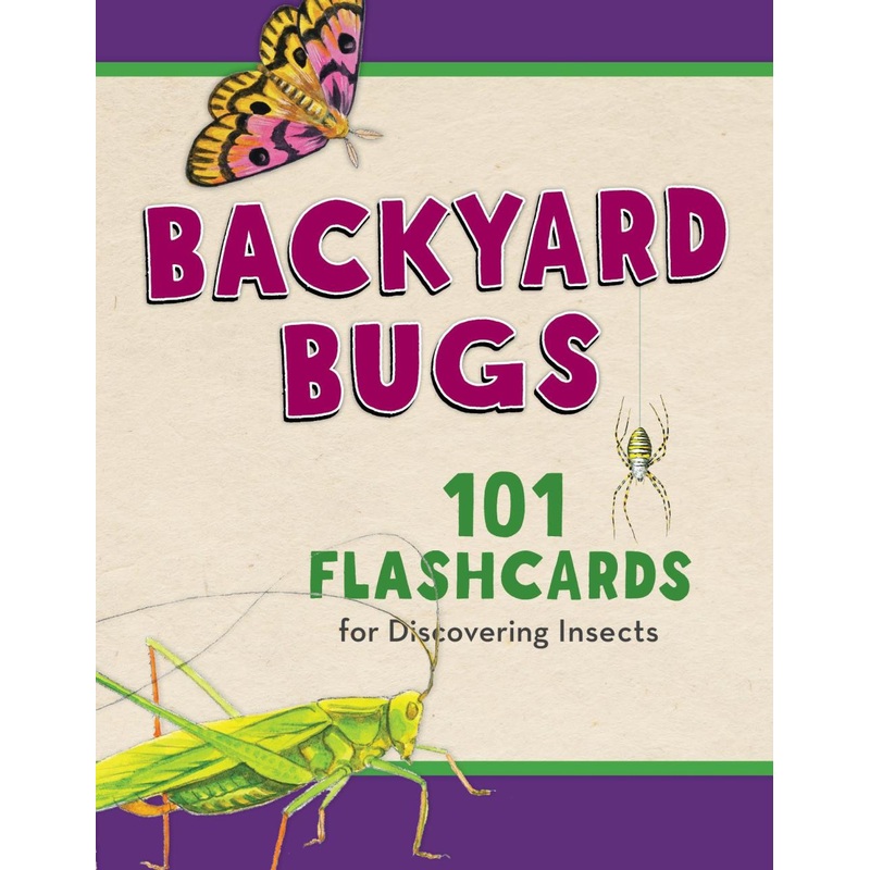 National Book Network Backyard Bugs: 101 Flashcards