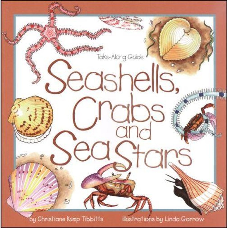National Book Network Seashells, Crabs, & Sea Stars