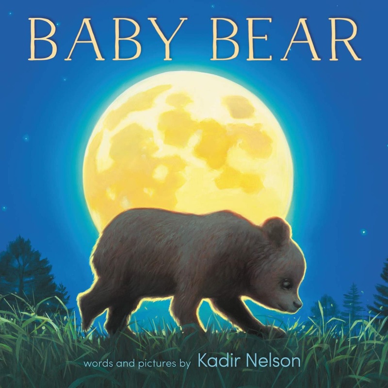 Sterling Publishing Baby Bear Board Book