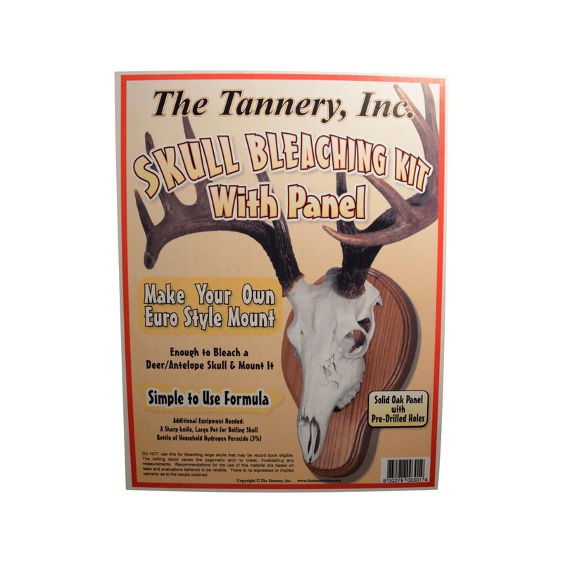 The Tannery Skull Bleaching Kit w/ Panel