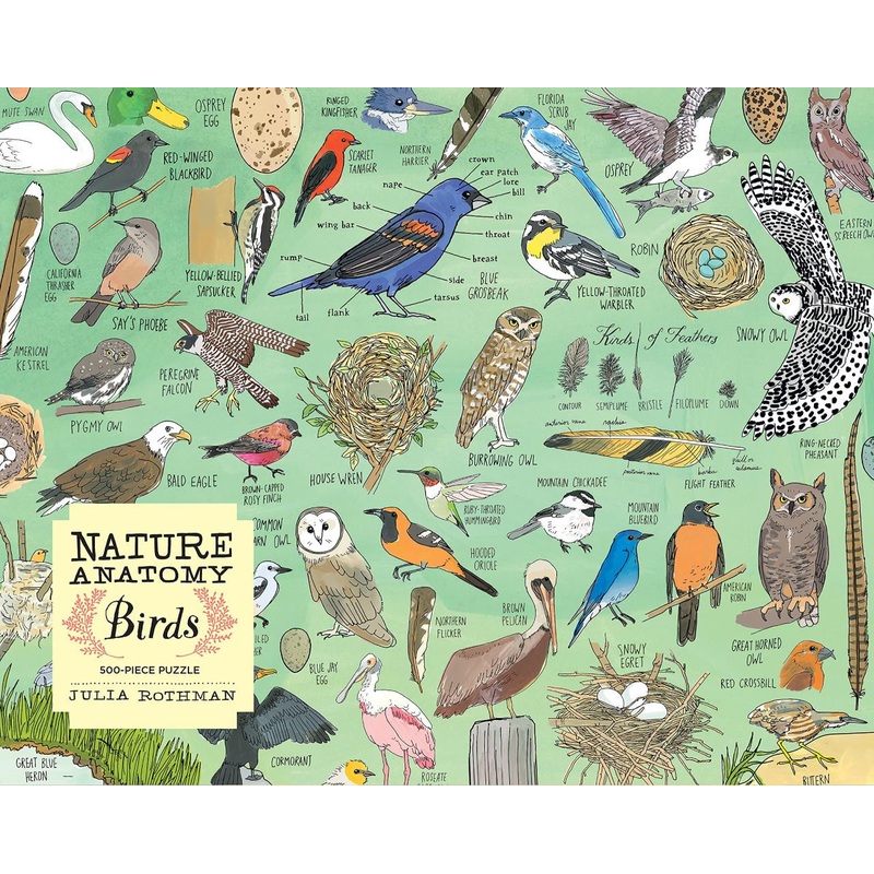 Workman Publishing Nature Anatomy Birds Puzzle