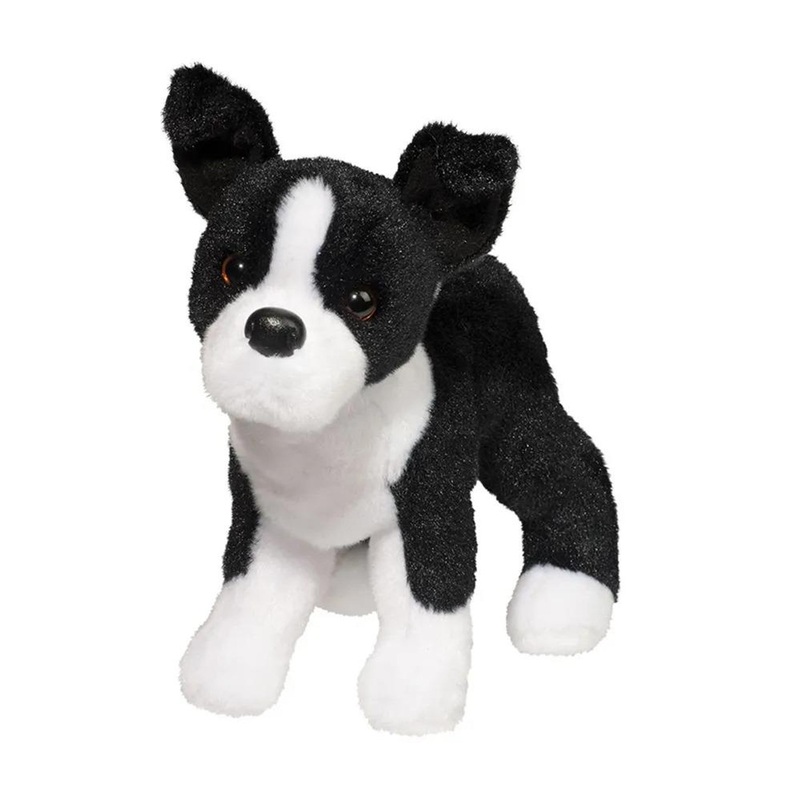 Douglas Co. Quincy Boston Terrier