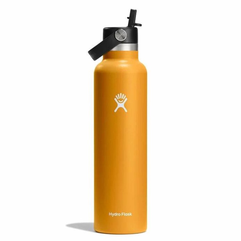 Hydro Flask 24 oz Standard Mouth with Flex Straw Cap – Fossil
