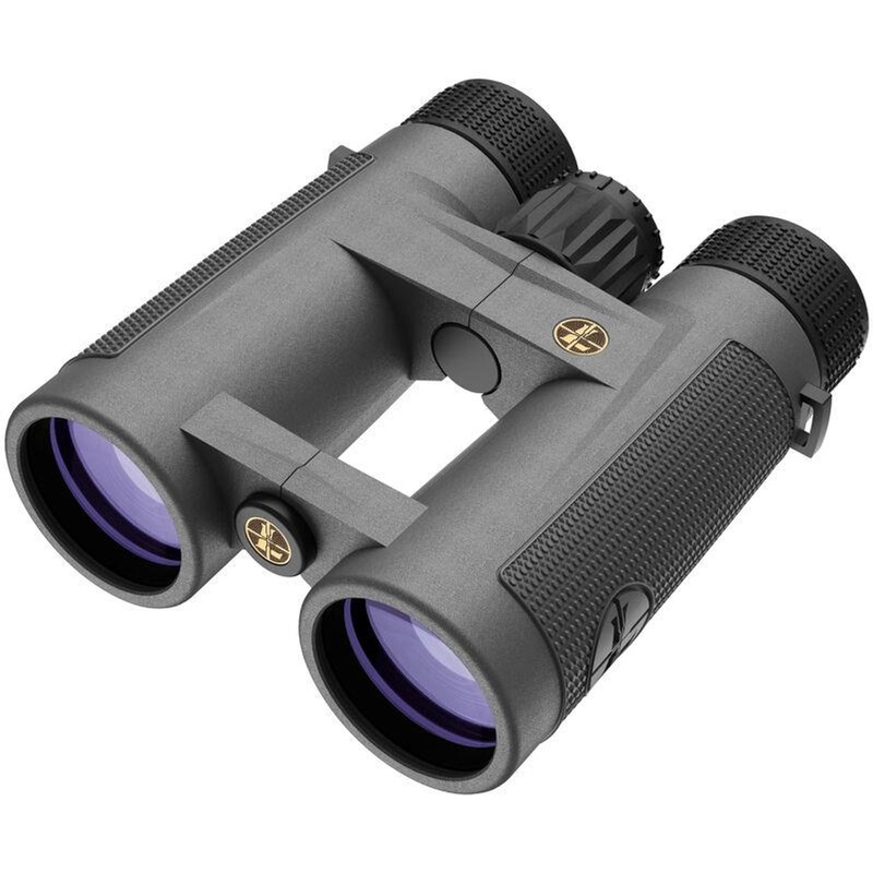 Leupold & Stevens In BX-4 Pro Guide HD 10X42MM