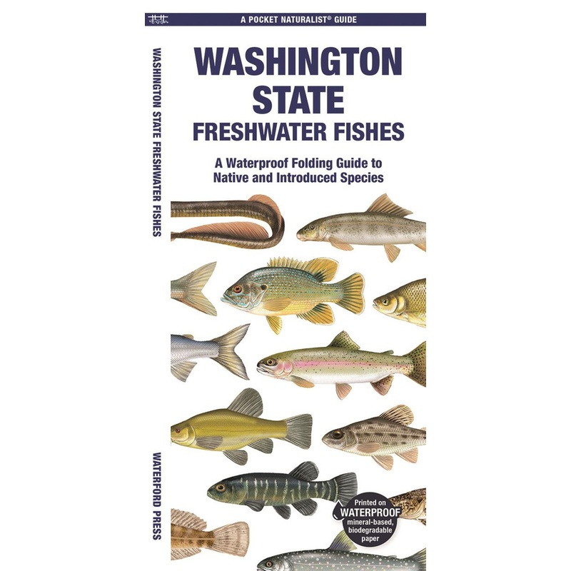 National Book Network Washington State Freshwater Fishes