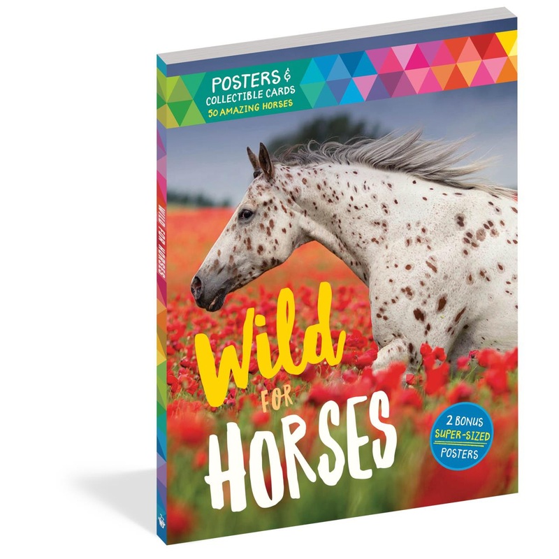 Workman Publishing Wild For Horses
