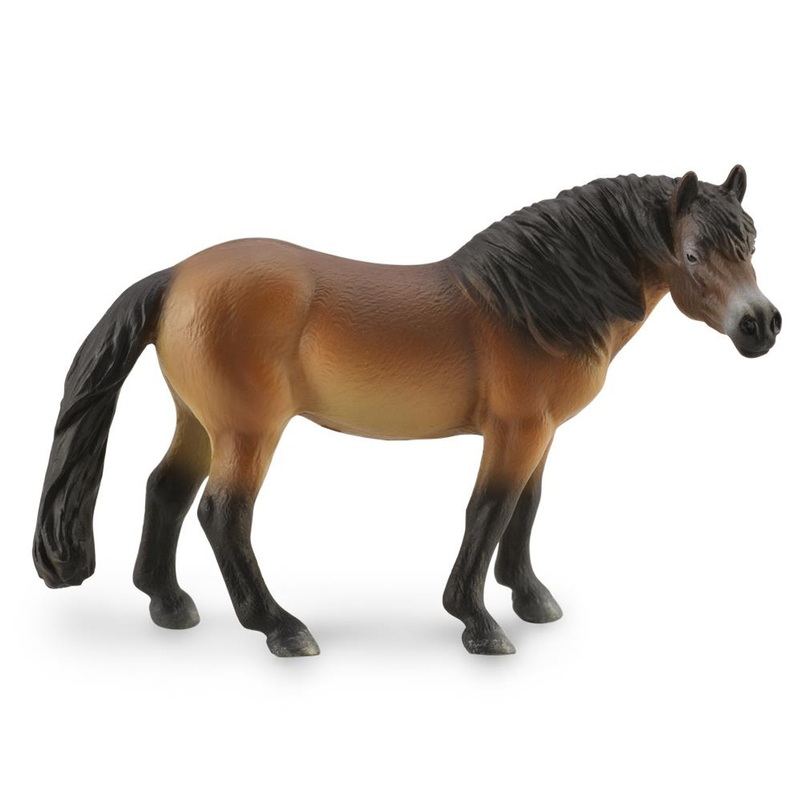 Reeves International Exmoor Pony Stallion